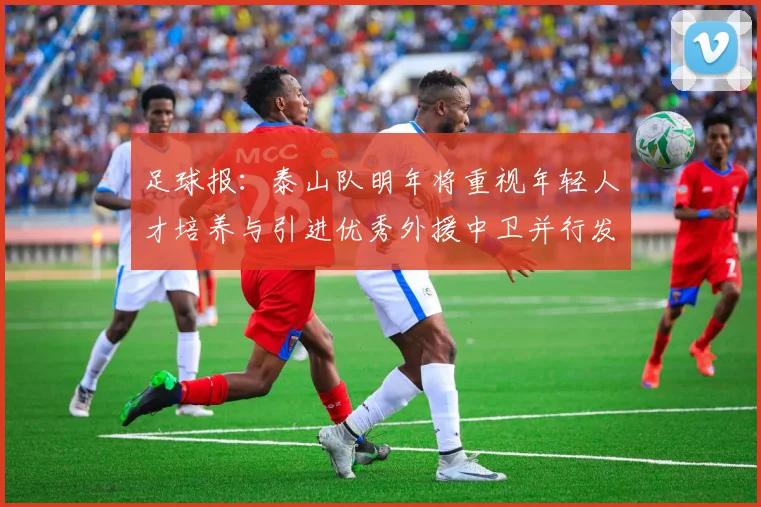 足球报：泰山队明年将重视年轻人才培养与引进优秀外援中卫并行发展