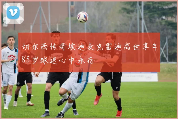 切尔西传奇埃迪麦克雷迪离世享年85岁球迷心中永存