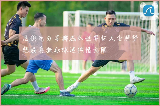 厄德高分享挪威队世界杯大合照梦想成真激励球迷热情无限